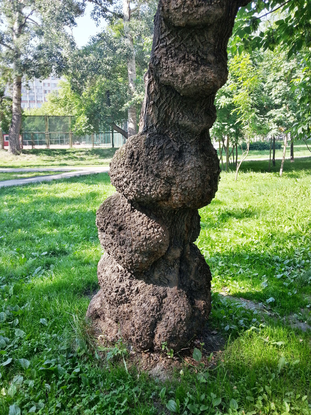 20130714_161157_HDR.jpg