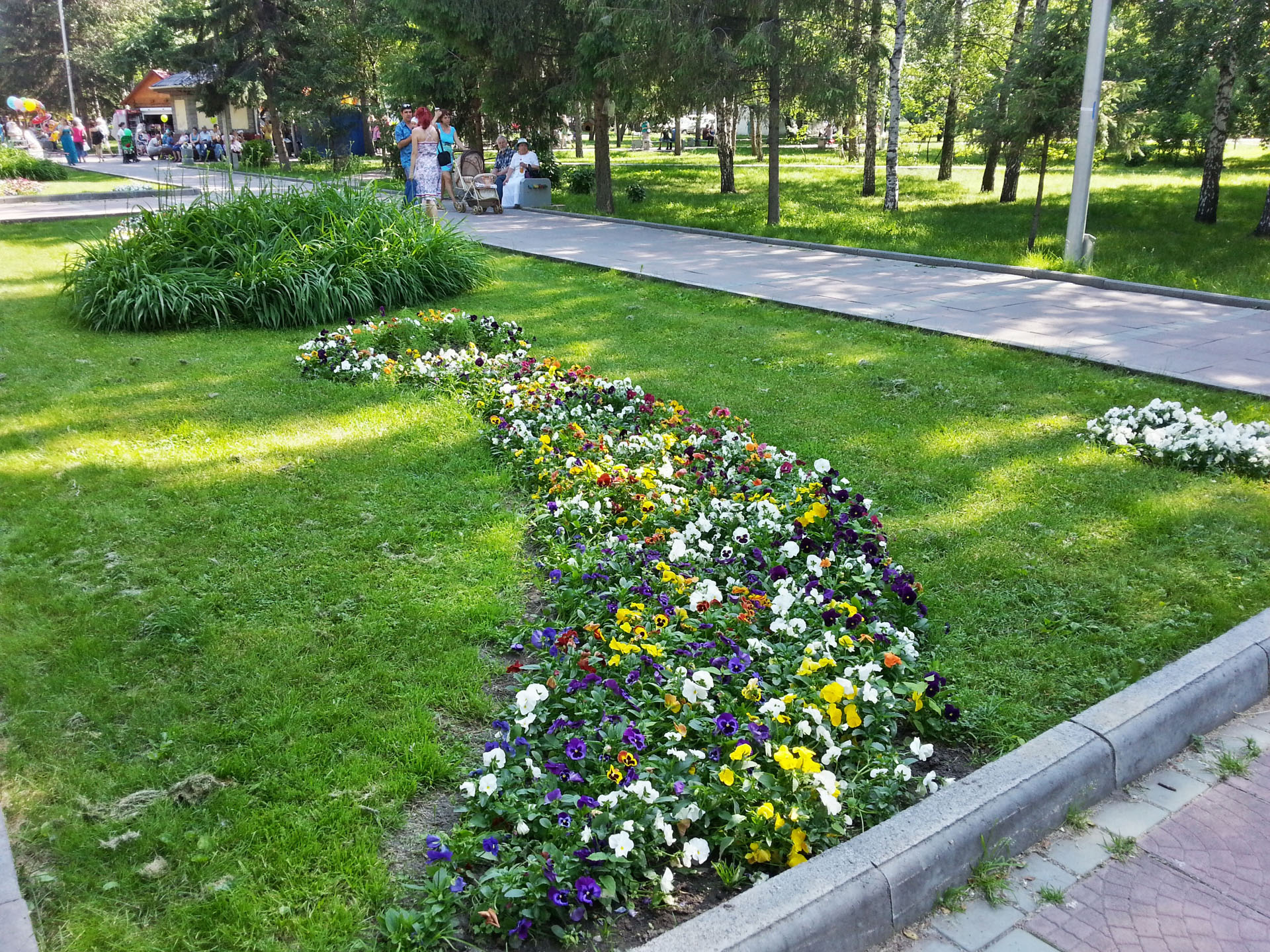 20130714_161952_HDR.jpg