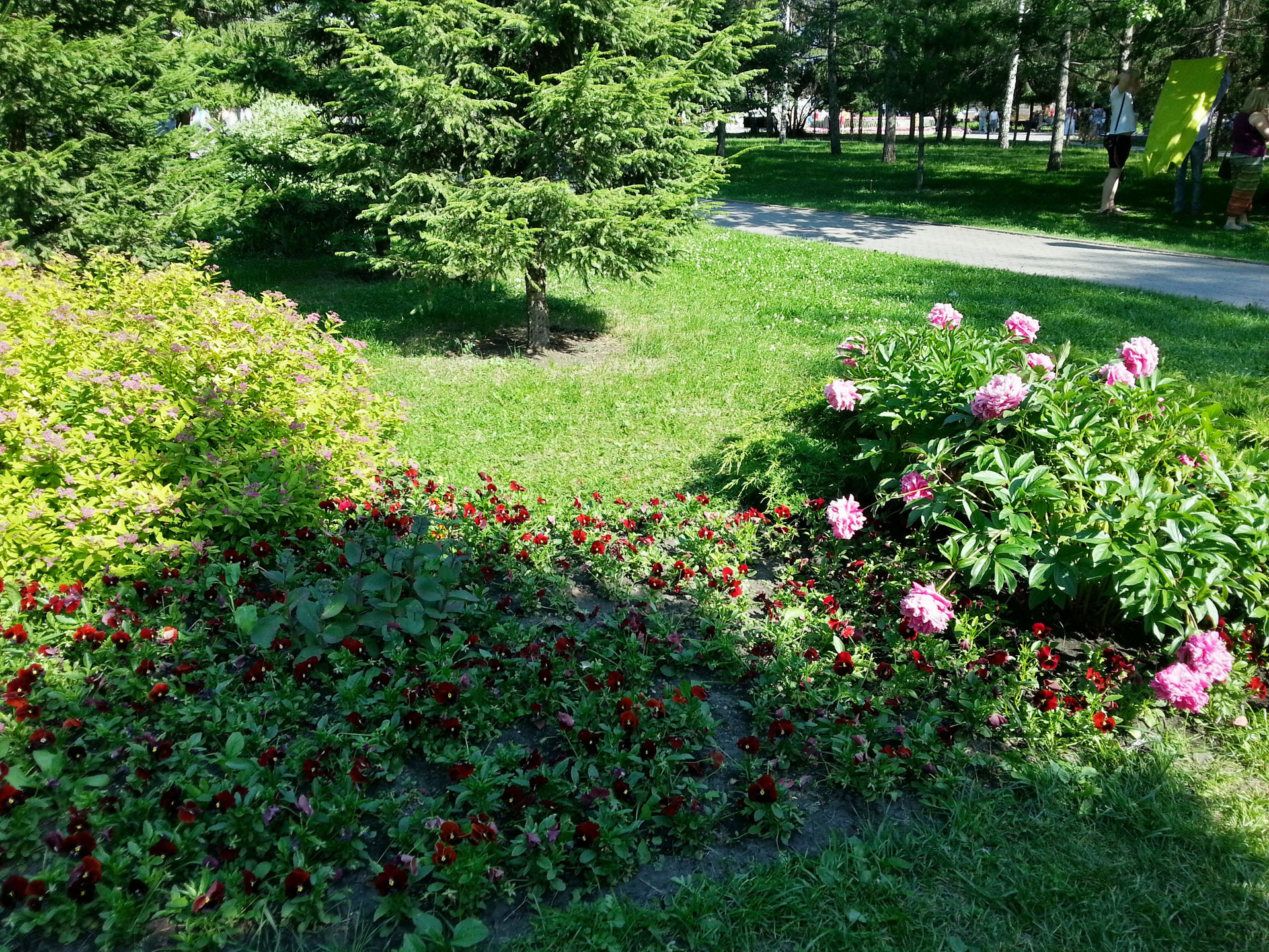 20130714_170534_HDR.jpg