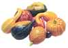 359149775.webp