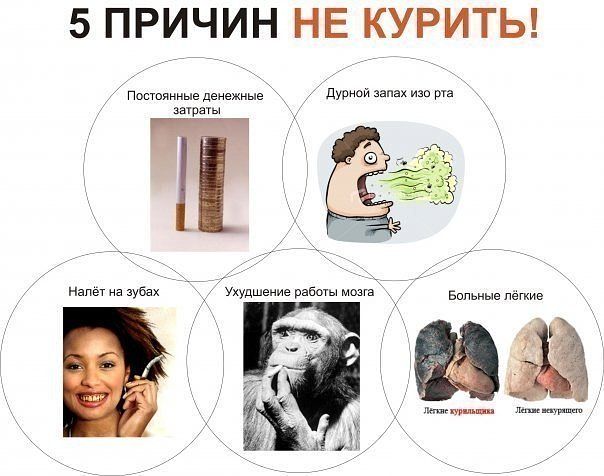 5 причин бросить курить.jpg