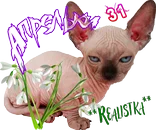 АпрелькиR.png