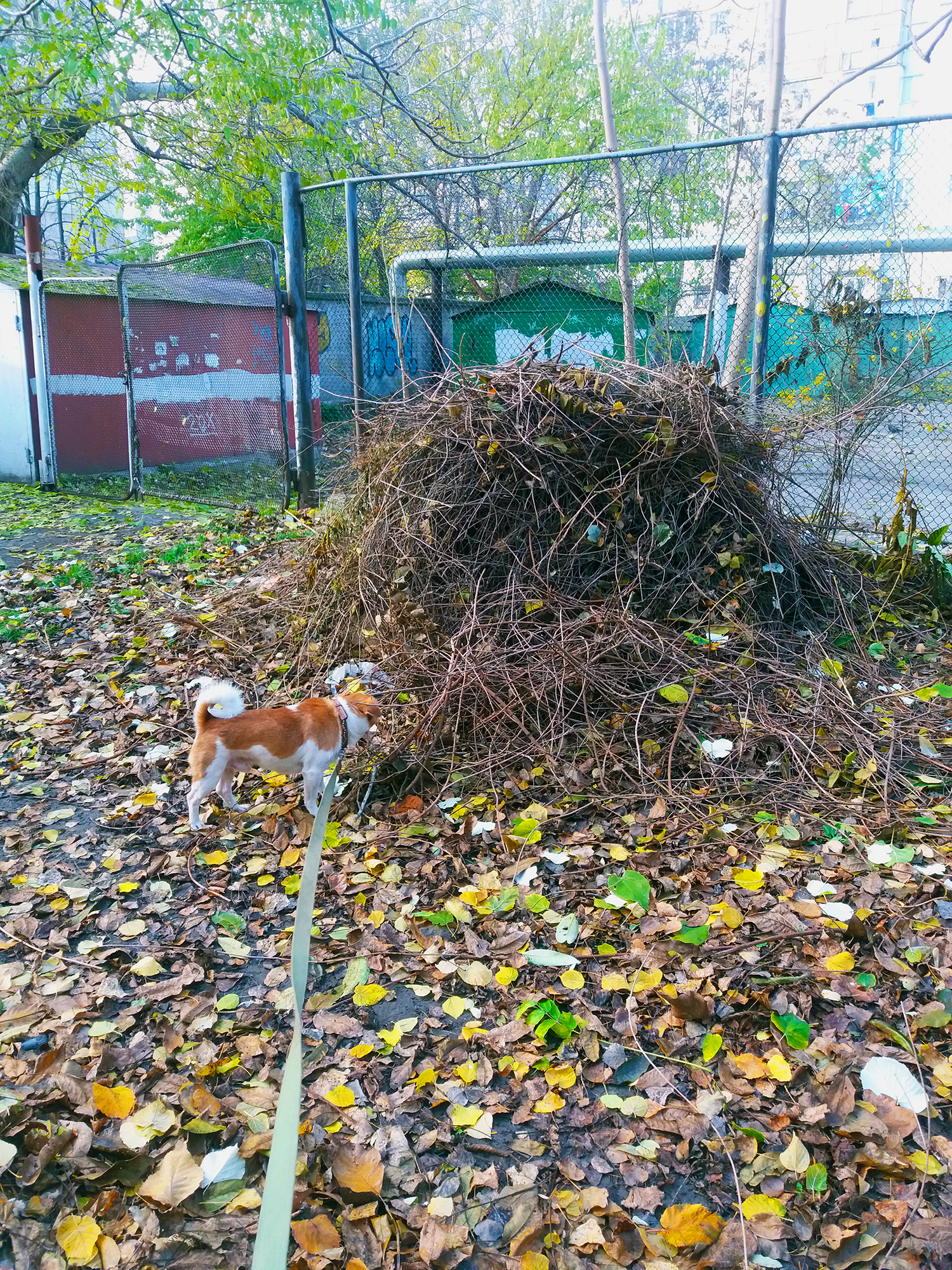 Чарлик и Стог. Естественный природный шар.