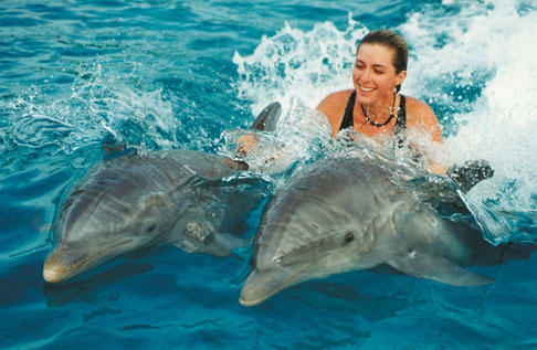 dolphins-and-a-woman.jpg