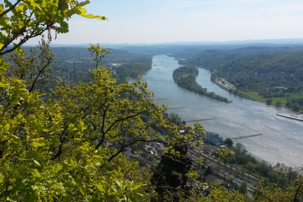 Drachenfels