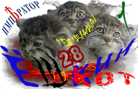 Ёшкин котИГ1.png