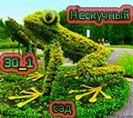 Лягушка 1