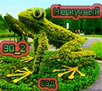Лягушка 2