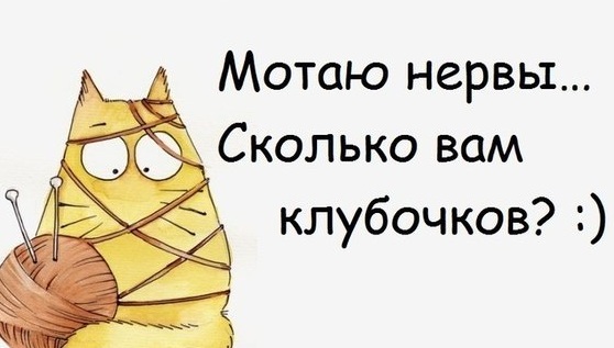 О нервах и котиках)