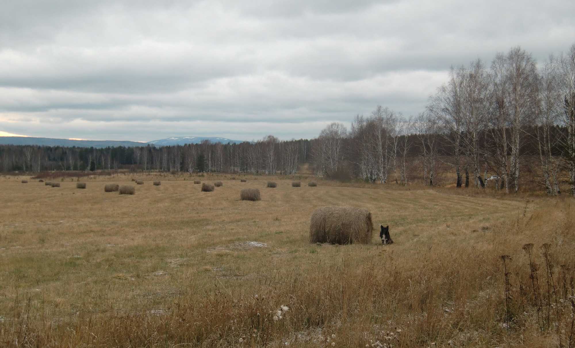 Осень