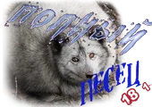 Полный песец1.png
