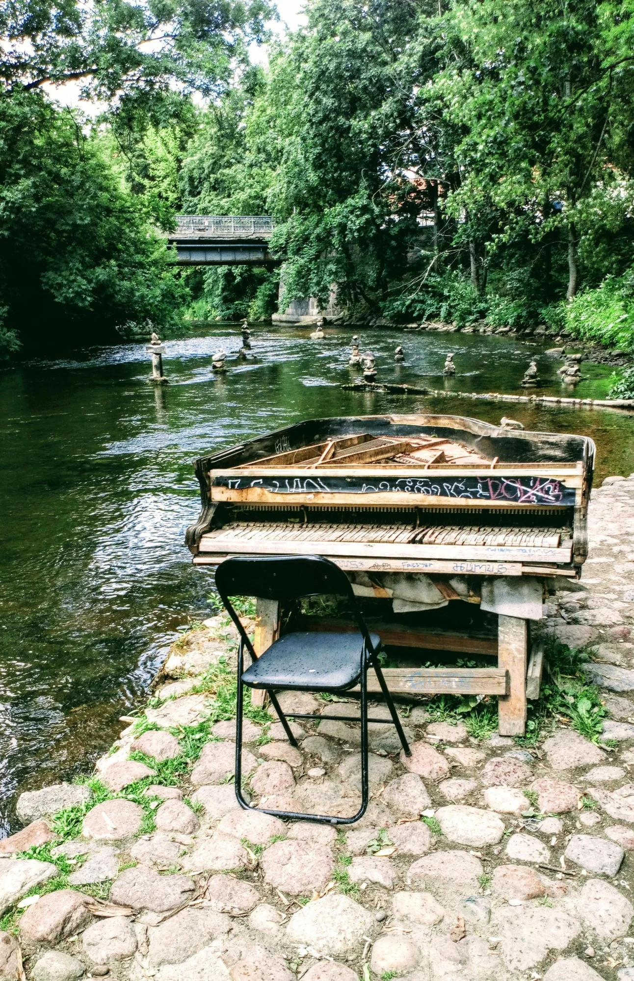 Рояль в кустах