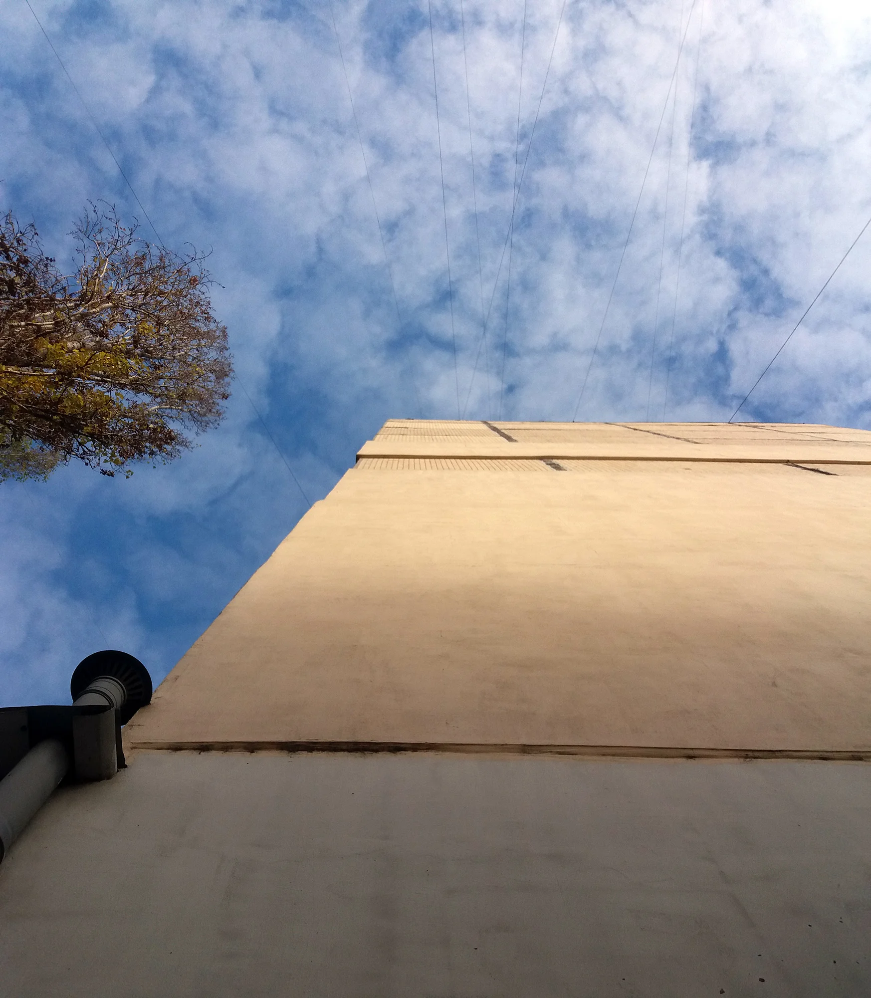 Струны ветра и труба - музыкальная стена.