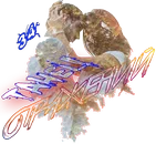 Танец отражений.png