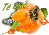 Те ещё и Хрен шЕХ.png