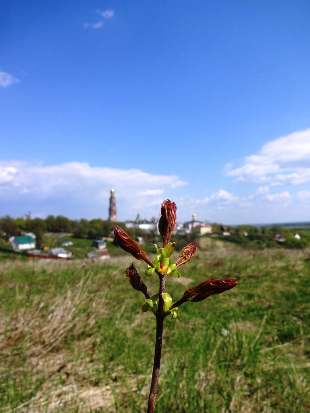 Весна