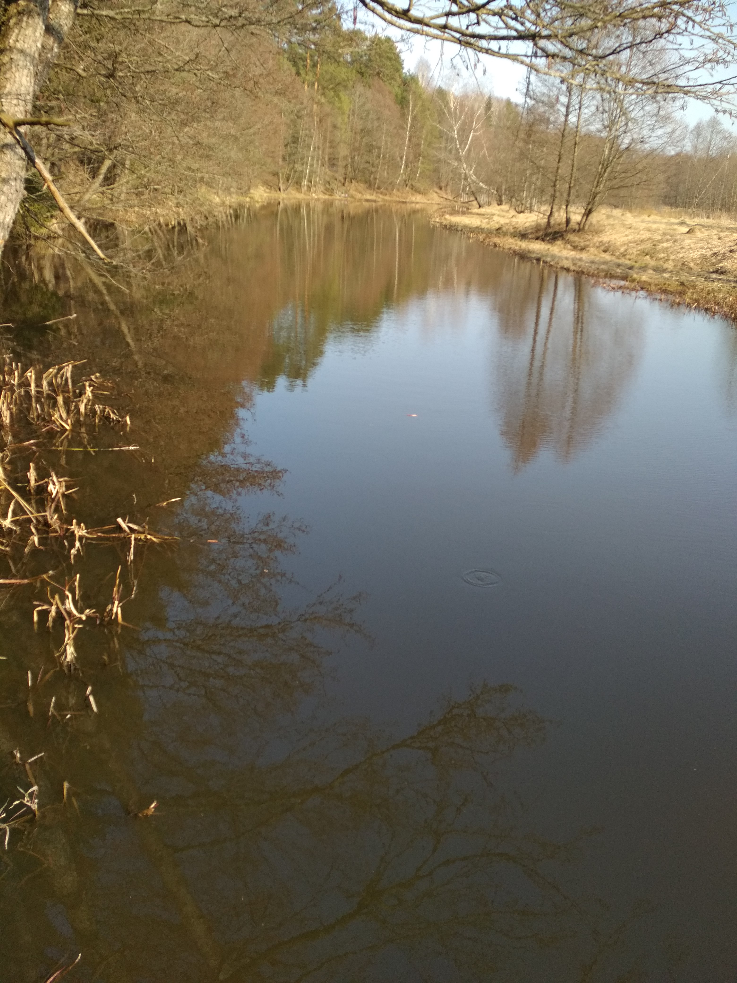 Водная гладь