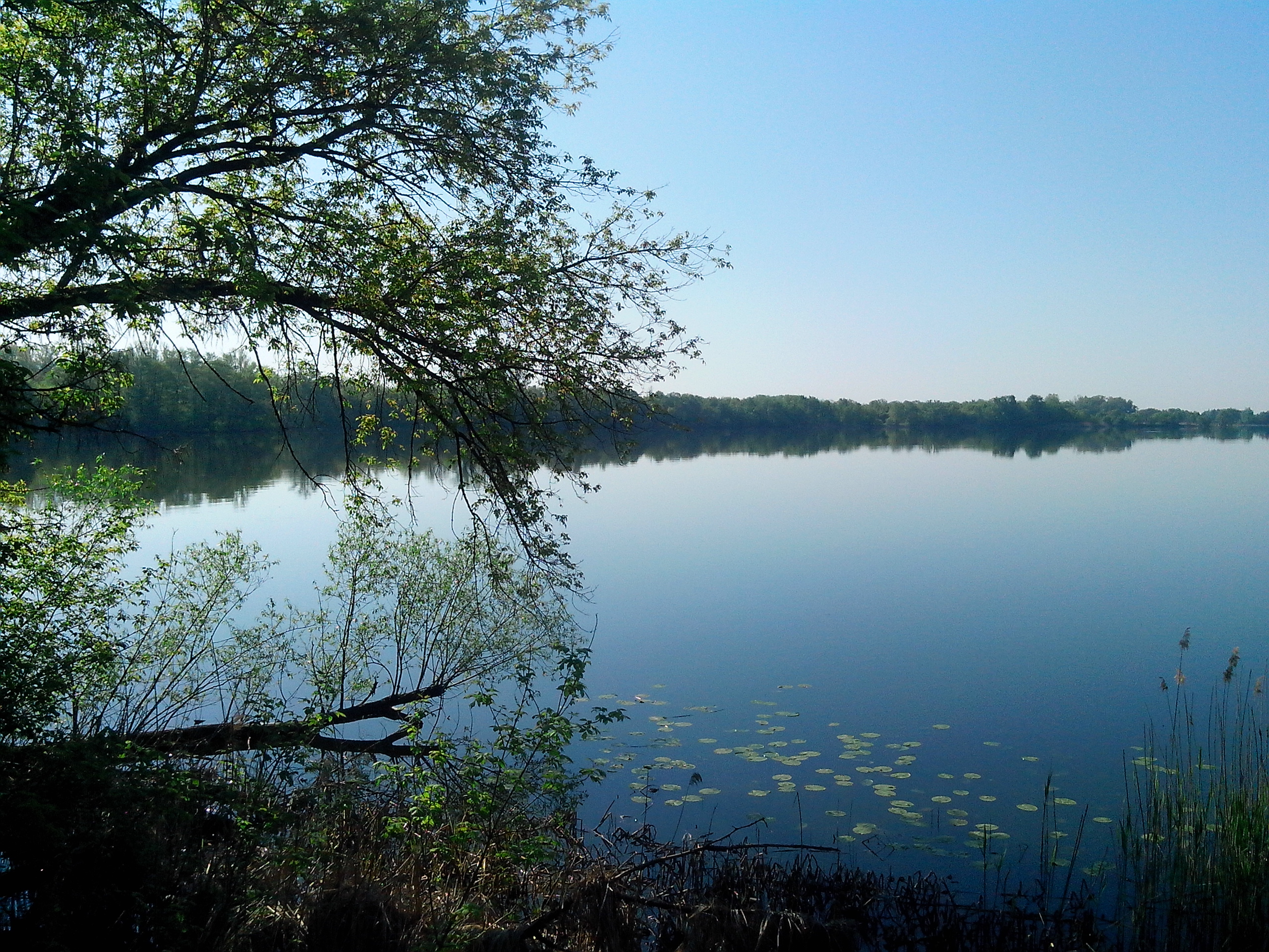 водохранилище