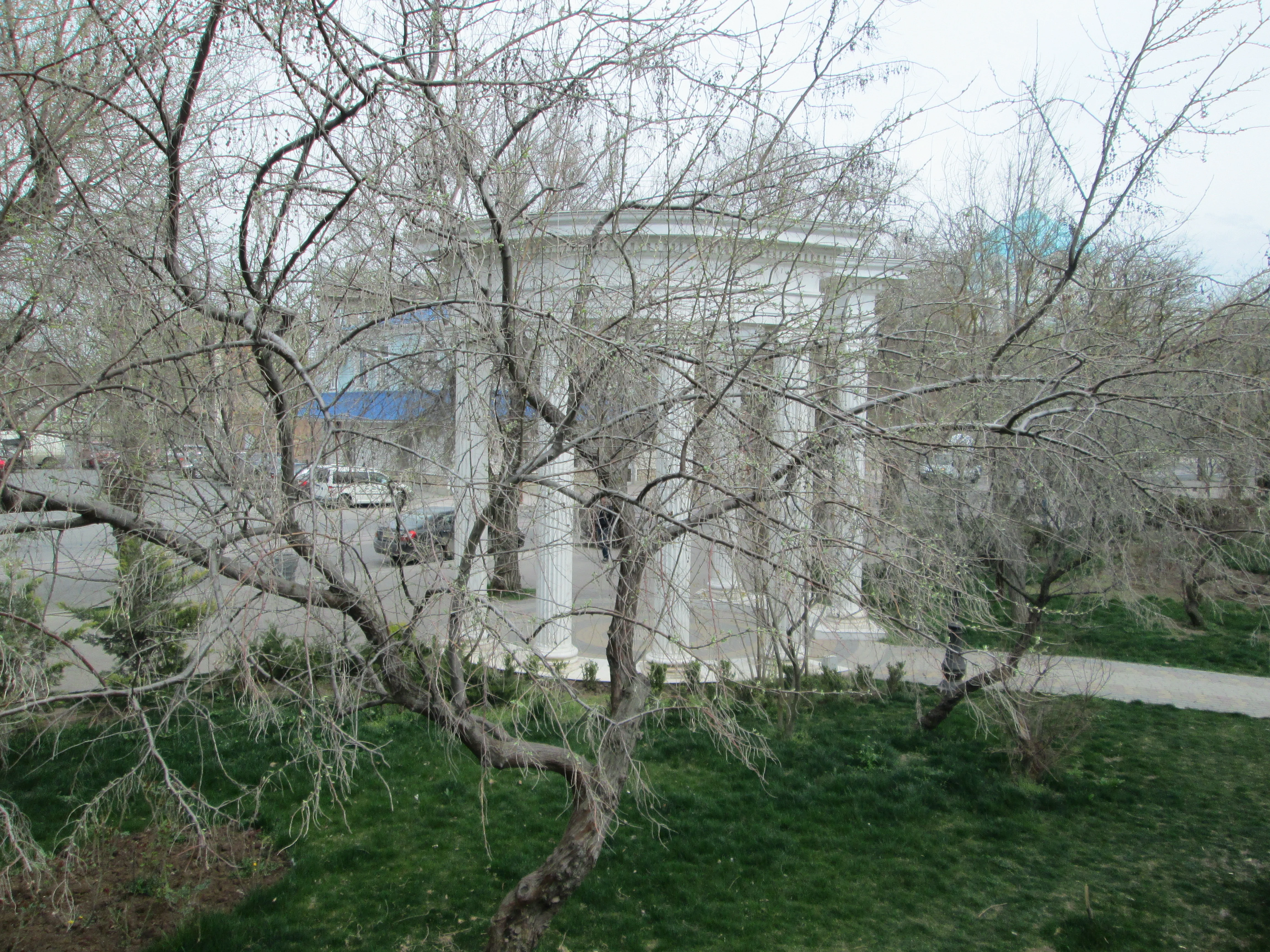 Взгляд через природу.
