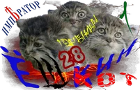 Ёшкин котИГ1.png