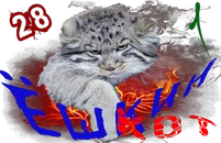 Ёшкин котКом1.png