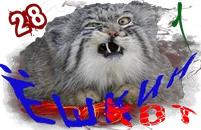 Ёшкин котКом1_2.png