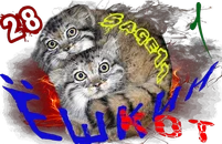 Ёшкин котOL.png