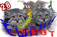 Ёшкин котOL1.png