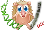 ЁЖИКИ ЕЛОВЫЕ5.png