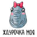 Stickers-Jdun31