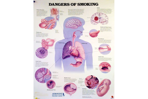 Опасности курения для органов курильщика