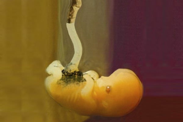Надышалась дымом при беременности
