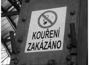 Карельские правозащитники требуют запретить курение в поездах