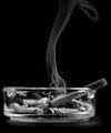 Ученые выяснили, каким образом сигаретный дым убивает клетки