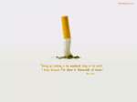 Giving up smoking is the easiest thing in the world