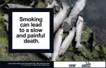 Smoking can lead to a slow and painful death.