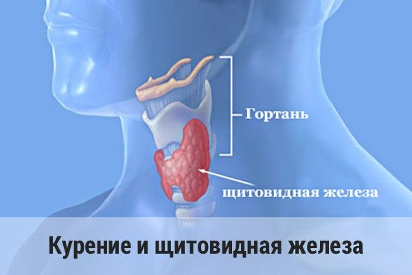 Курение и щитовидная железа