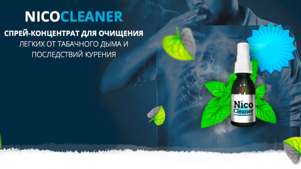 Nico Cleaner (Нико Клинер)